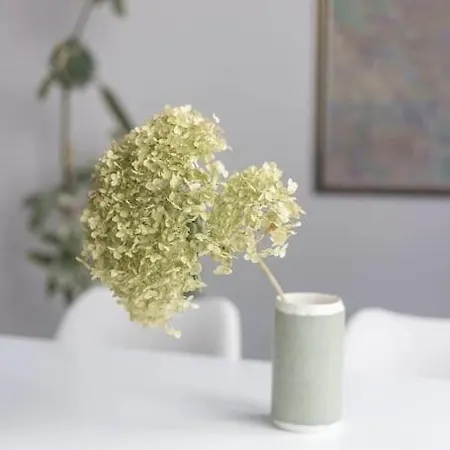 Διαμέρισμα Ewa